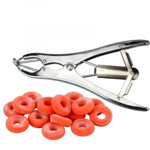 ប្រដាប់គ្រៀវសត្វកងកៅស៊ូ