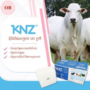 ដុំរ៉ែ KNZ