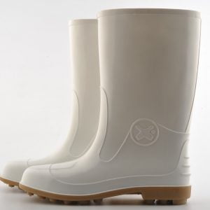 ស្បែកជើងកវែង