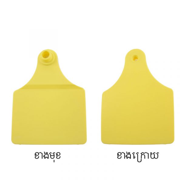 ស្លាកលេខត្រចៀកគោ ក្របី - Image 6