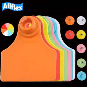 ស្លាកលេខត្រចៀកជ្រូក